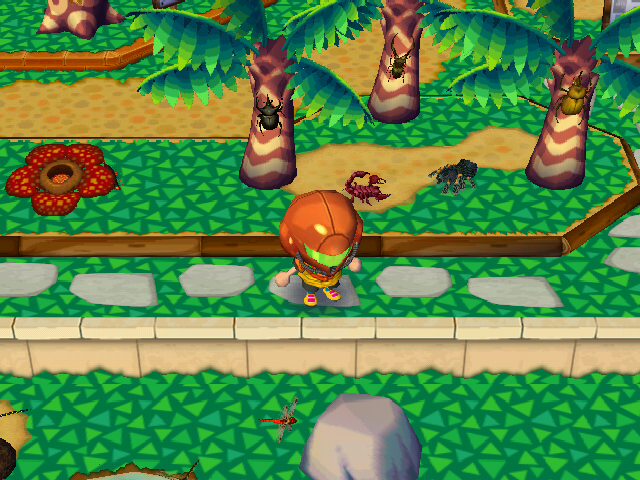 RUU_0628 Insect Exhibit